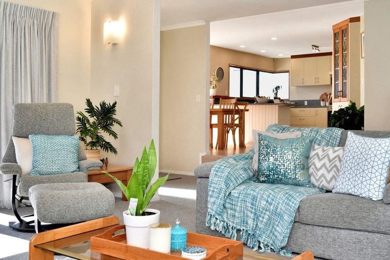 Photo of property in 34 Bayfair Drive, Mount Maunganui, 3116