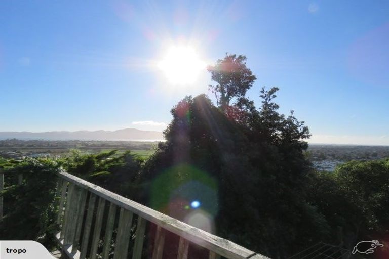 Photo of property in 115 Riwai Street, Paraparaumu, 5032