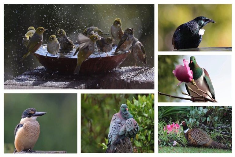 Photo of property in 10a Hurinui Avenue, Whakatane, 3120