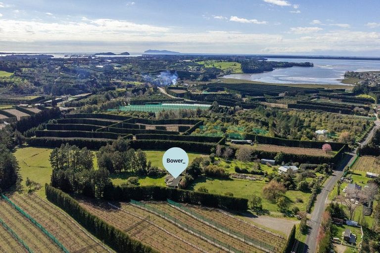 Photo of property in 48 Lindemann Road, Katikati, 3170