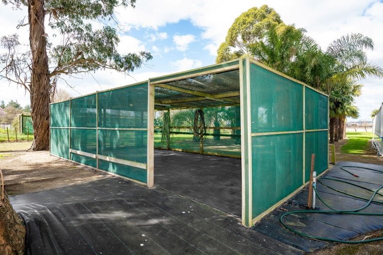 Photo of property in 527 State Highway 2, Whakatu, Hastings, 4180