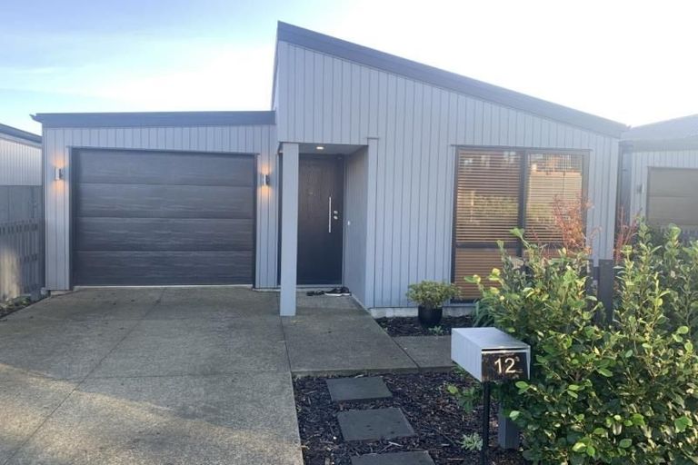 Photo of property in 12 Paddock Lane, Pukekohe, 2120