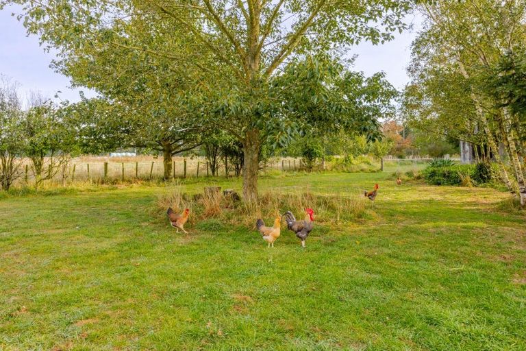 Photo of property in 97 Matheson Road, Tikokino, 4274