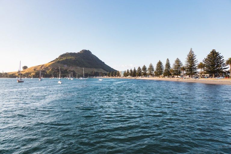 Photo of property in 114/36 Victoria Road, Mount Maunganui, 3116