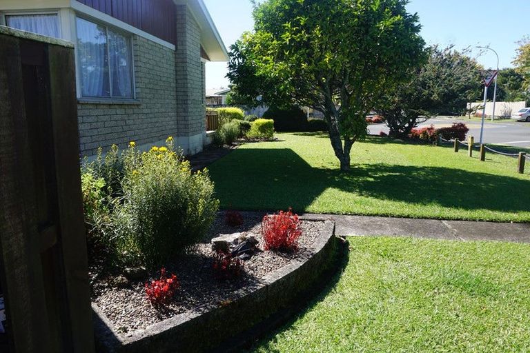 Photo of property in 1 Maple Avenue, Dinsdale, Hamilton, 3204