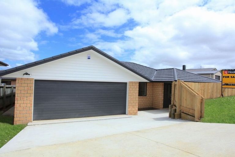 Photo of property in 41 Jellicoe Avenue, Tuakau, 2121