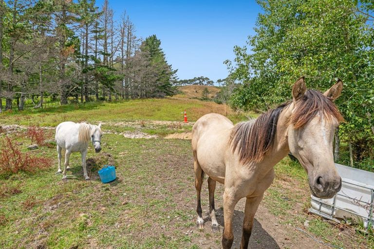 Photo of property in 411 Pine Valley Road, Dairy Flat, Silverdale, 0992