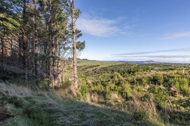 Photo of property in 1165c Cooks Tooth Road, Porangahau, 4293