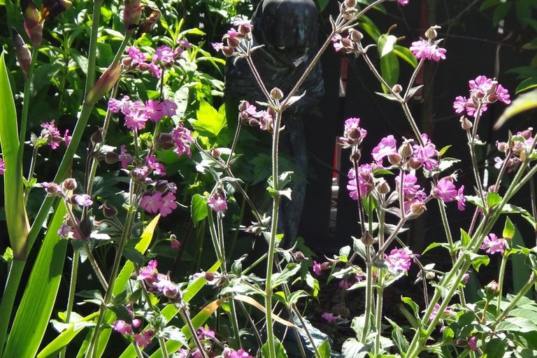 Photo of property in 44 Mere Road, Taupo, 3330