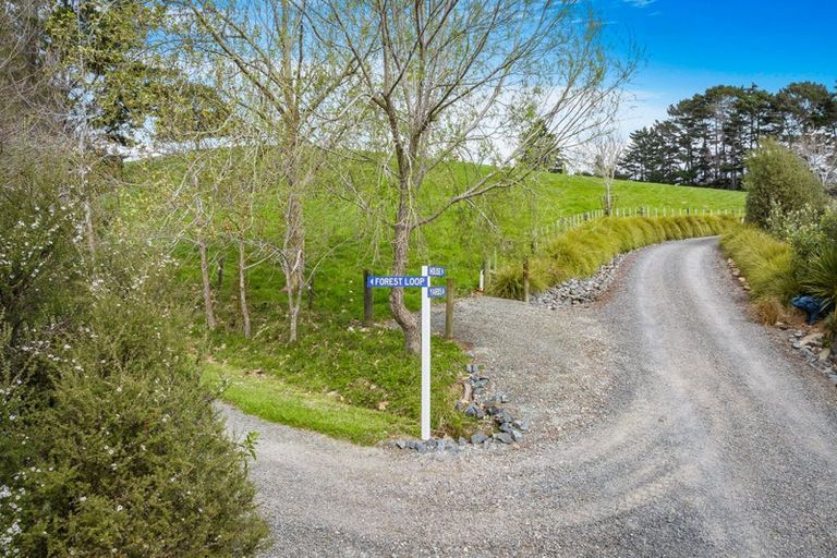 Photo of property in 436 Burnside Road, Makarau, Warkworth, 0873