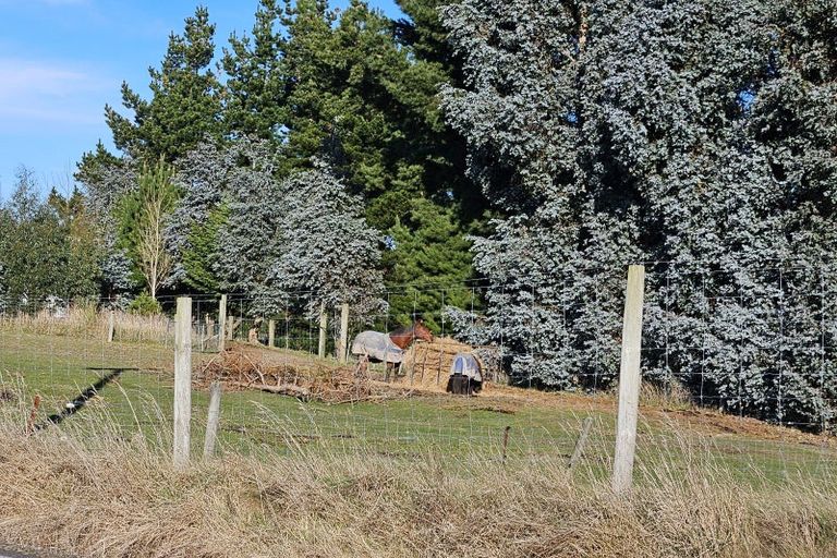 Photo of property in 153 Romahapa Road, Romahapa, Balclutha, 9271