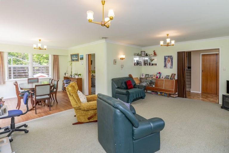 Photo of property in 7 Halsey Street, Levin, 5510