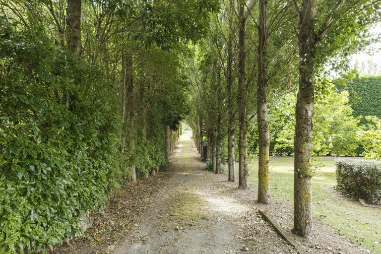 Photo of property in 117 Staces Road, Aokautere, Palmerston North, 4471