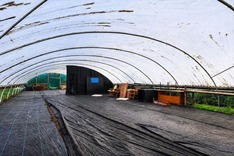 Photo of property in 195 Keith Road, Waerenga, Te Kauwhata, 3781