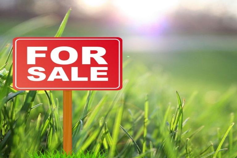 Photo of property in 4 Pipi Crescent, Tuakau, 2121