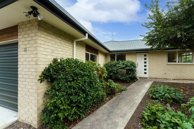 Photo of property in 12 Mcdougal Place, Kaiapoi, 7630