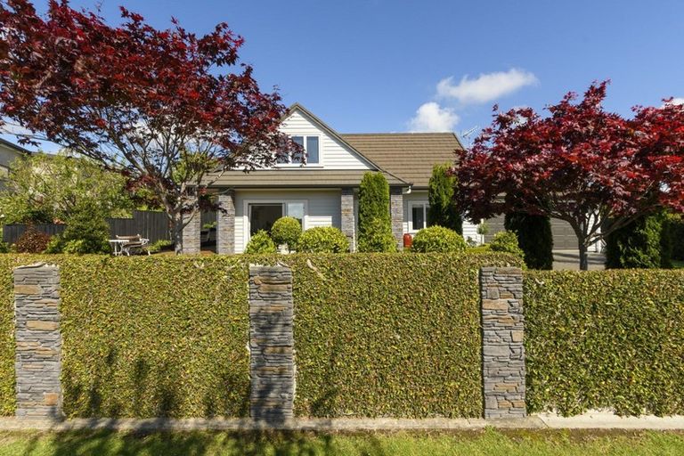 Photo of property in 24 Harbelle Close, Bethlehem, Tauranga, 3110