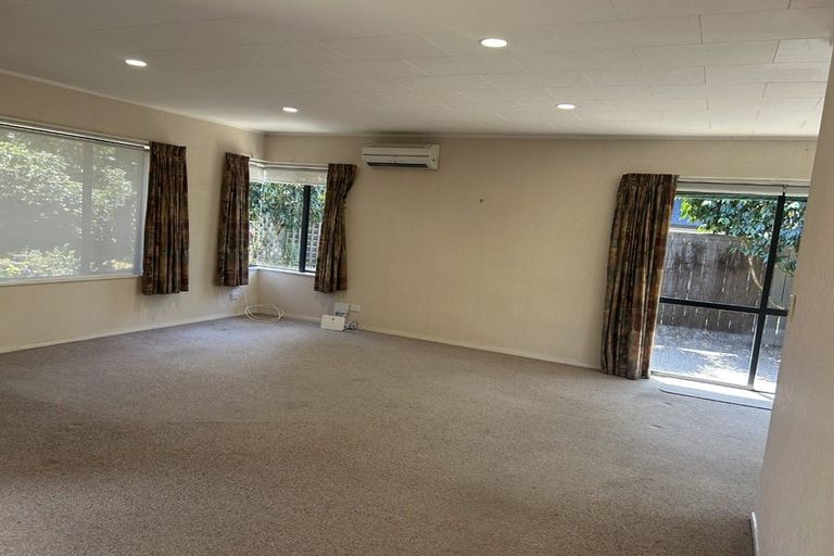 Photo of property in 49 Chelsea Avenue, Richmond, 7020