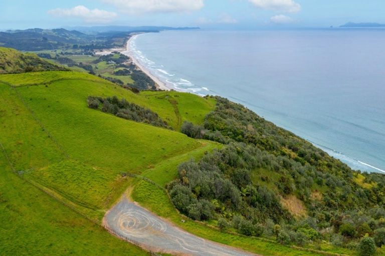 Photo of property in 55 M Greenwood Road, Leigh, 0972