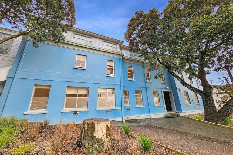 Photo of property in 2/30 Hanson Street, Mount Cook, Wellington, 6021