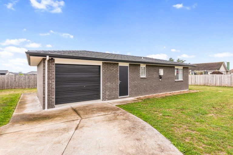 Photo of property in 92 Hinemoa Street, Levin, 5510