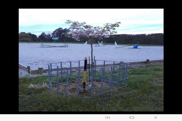 Photo of property in 346 Morrinsville-walton Road, Morrinsville, 3371