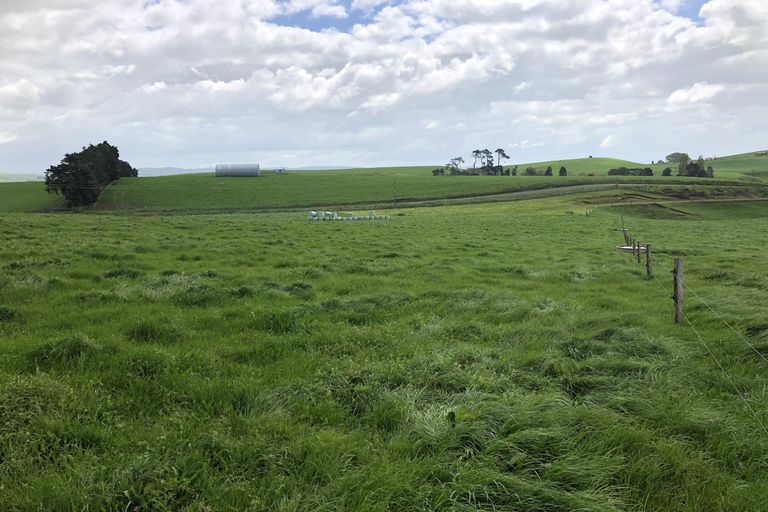 Photo of property in 247 Waterworks Road, Te Miro, Morrinsville, 3371