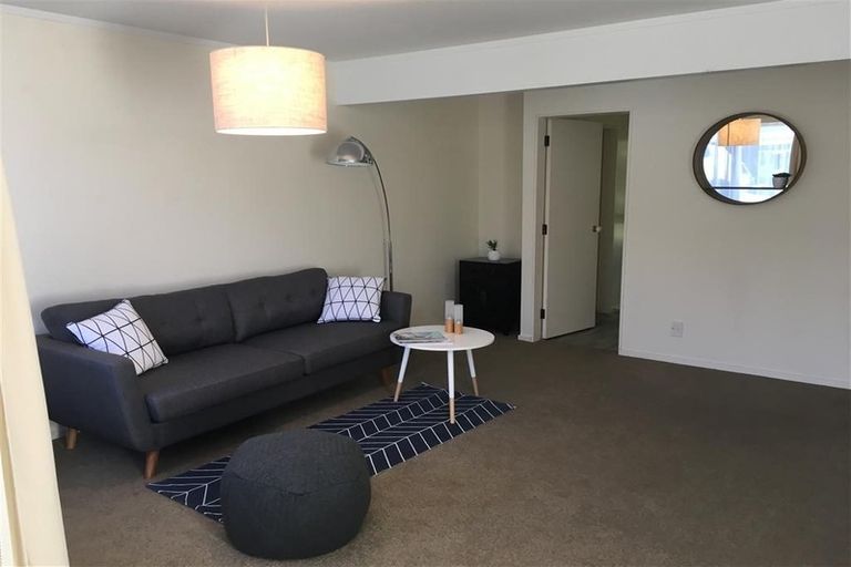 Photo of property in 55f8 Hamilton Road, Hataitai, Wellington, 6021