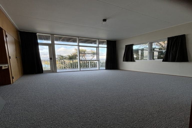 Photo of property in 115 Hornsey Road, Melrose, Wellington, 6023