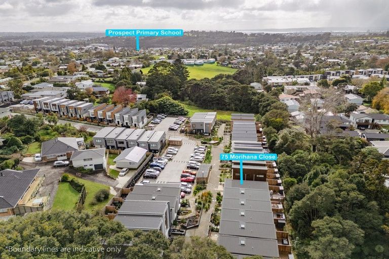 Photo of property in 75 Morihana Close, Glen Eden, 0602