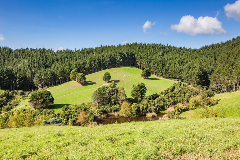 Photo of property in 923 Puketona Road, Haruru, Kerikeri, 0293