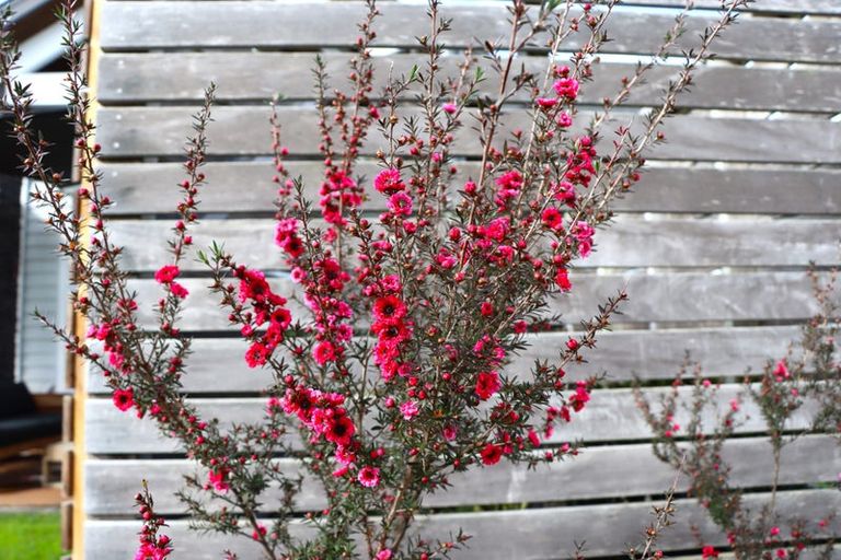 Photo of property in 121 Tapu Road, Huapai, Kumeu, 0810