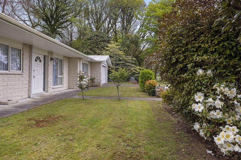 Photo of property in 99 Hamlet Street, Stratford, 4332