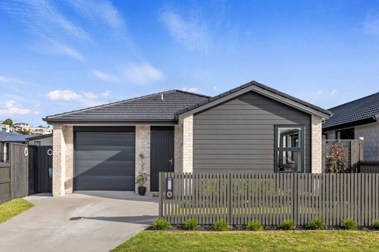 Photo of property in 19 Kuihi Street, Poike, Tauranga, 3112