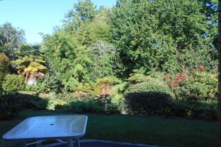 Photo of property in 21 Mulberry Lane, Bellevue, Tauranga, 3110