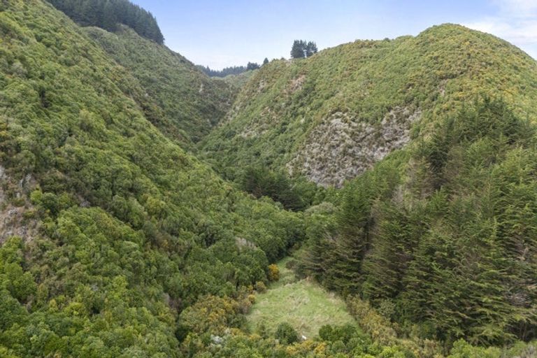 Photo of property in 106 Harrison Hill Road, Aokautere, 4471