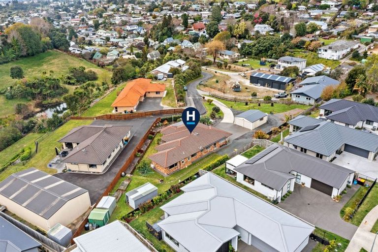 Photo of property in 87 Awaiti Place, Hairini, Tauranga, 3112