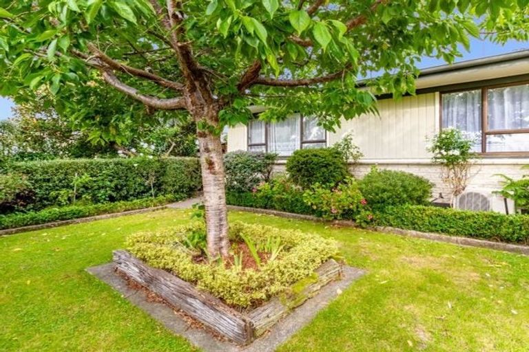 Photo of property in 77 York Avenue, Tamatea, Napier, 4112