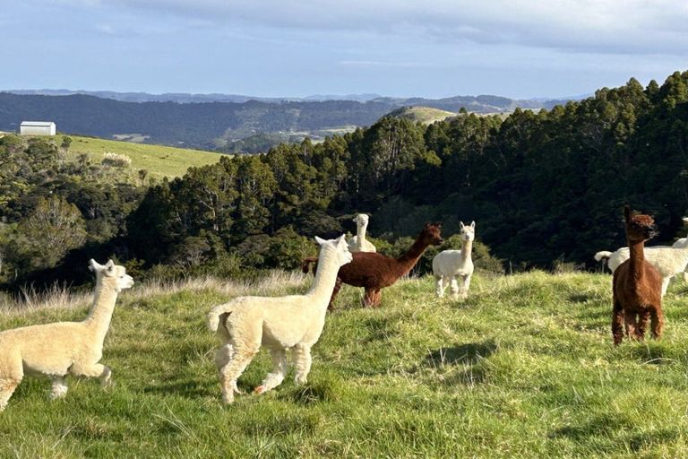 Photo of property in 55 M Greenwood Road, Leigh, 0972