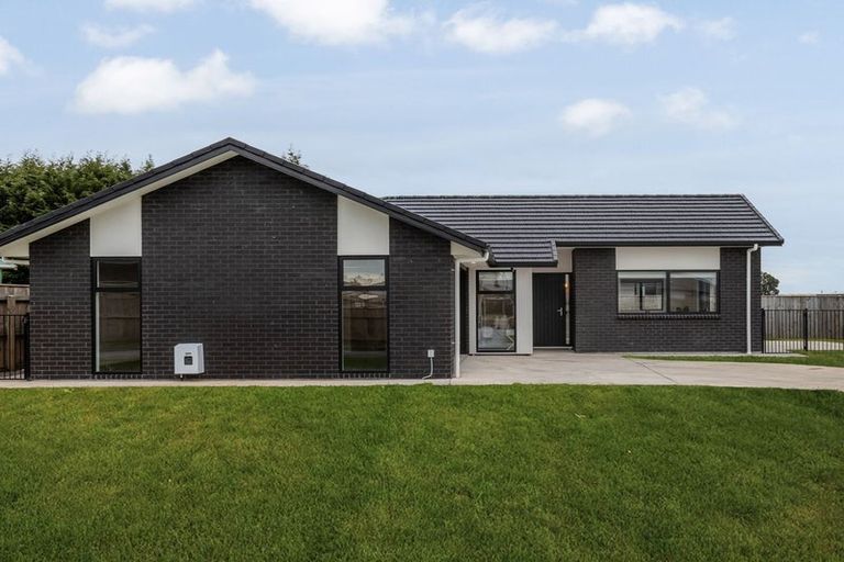 Photo of property in 79 Hinemoa Street, Levin, 5510