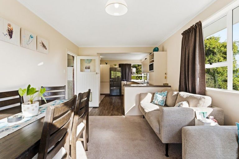 Photo of property in 61 Elwyn Crescent, Green Island, Dunedin, 9018