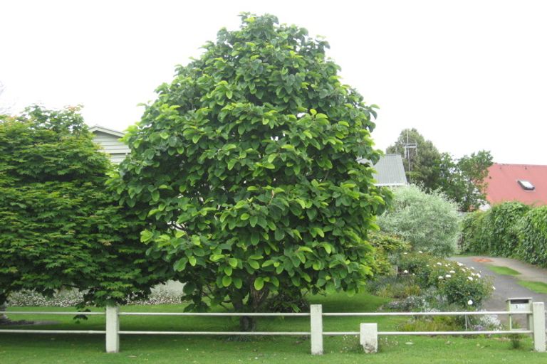 Photo of property in 150 Fraser Street, Te Awamutu, 3800