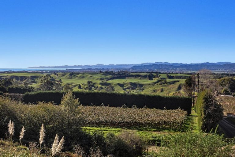 Photo of property in 501 Paerata Ridge Road, Waiotahe, Opotiki, 3198