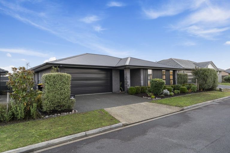 Photo of property in 4 Muddle Lane, Pyes Pa, Tauranga, 3112