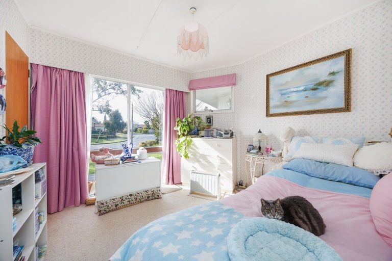 Photo of property in 3 Dalzien Place, Feilding, 4702
