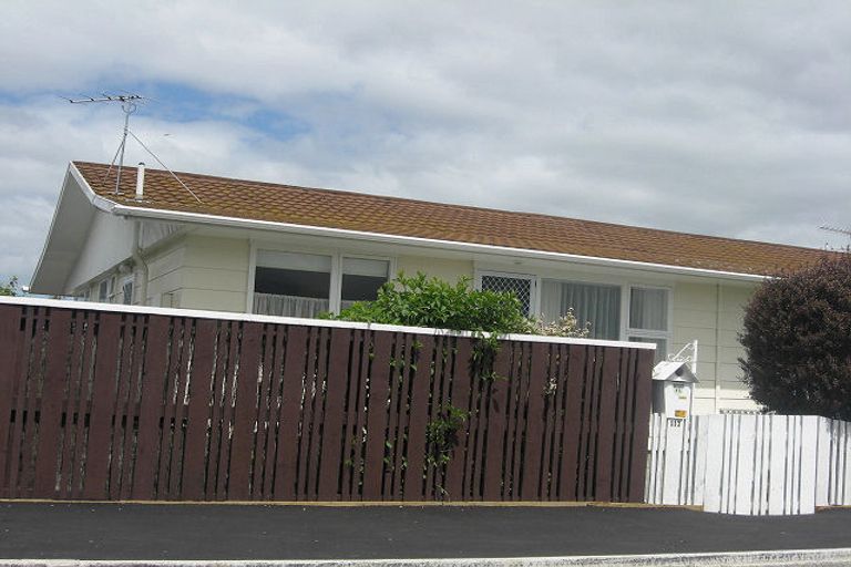 Photo of property in 117 Charles Street, Blenheim, 7201