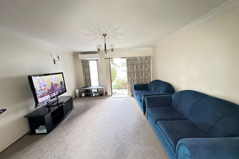 Photo of property in 125 Thirteenth Avenue, Tauranga South, Tauranga, 3112