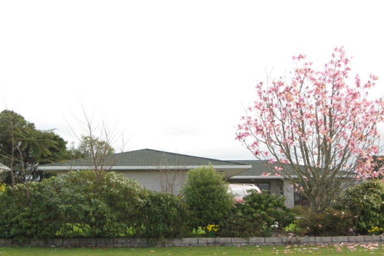 Photo of property in 111 Brecon Road, Stratford, 4332