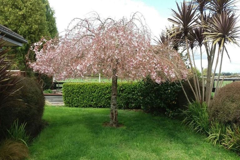 Photo of property in 288 Mystery Creek Road, Ohaupo, 3881