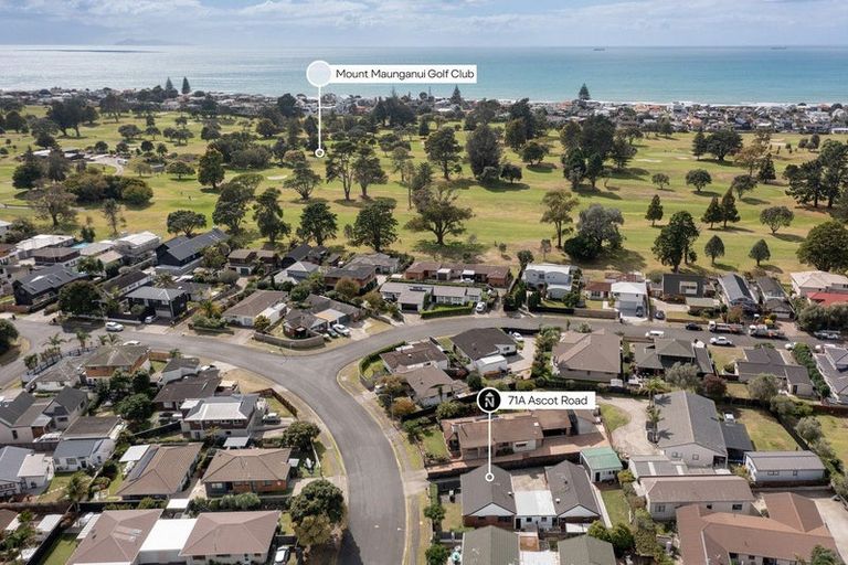 Photo of property in 71a Ascot Road, Mount Maunganui, 3116